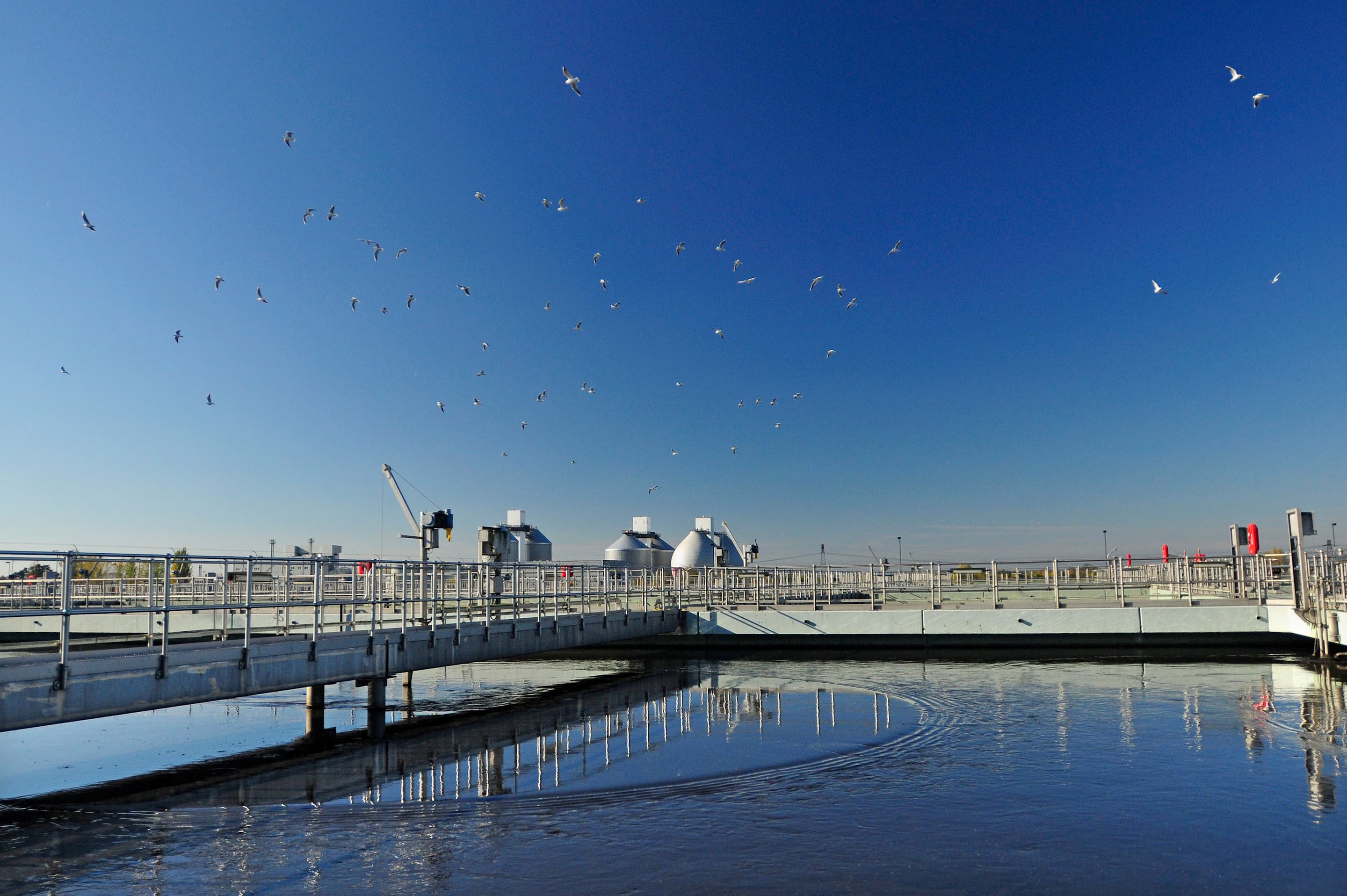 Blick auf ein Klärbecken mit typischen Faultürmen einer Kläranlage im Hintergrund.