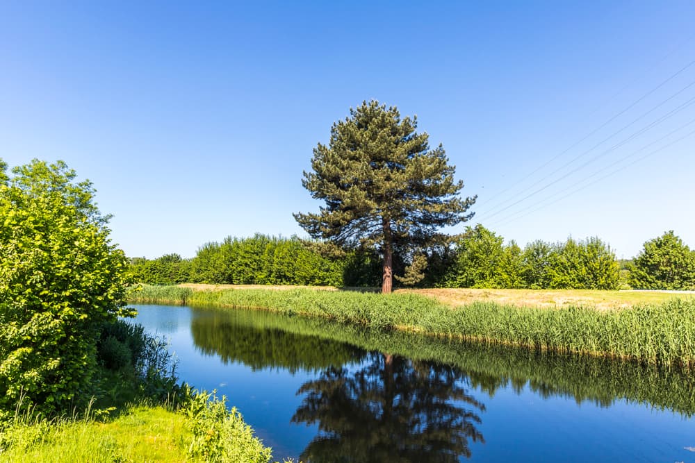 Nach der Reinigung fließt das gereinigte Wasser zurück in die Natur.